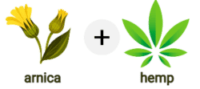 arnica and hemp