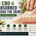 Can CBD Be Absorbed Through the Skin