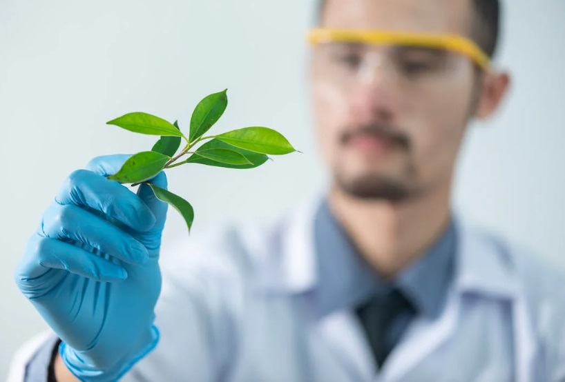 cbd laboratory for swollen feet