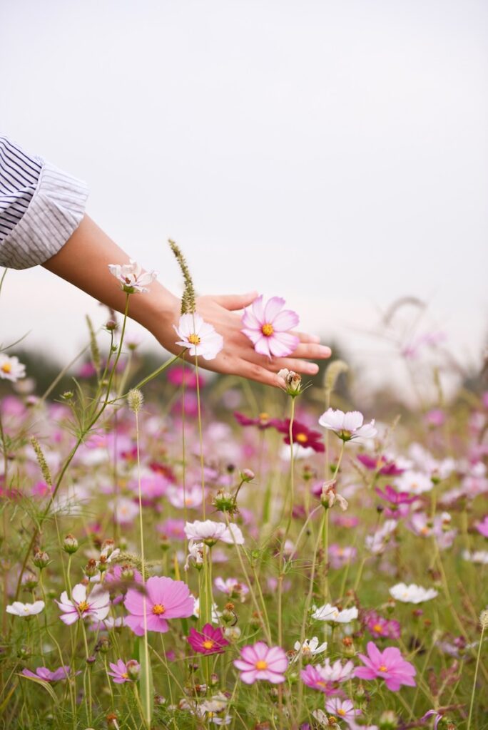 best cbd oil for arthritis
