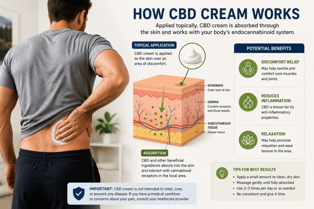 How CBD Cream Works A Skin Absorption Guide