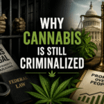 why cannabis