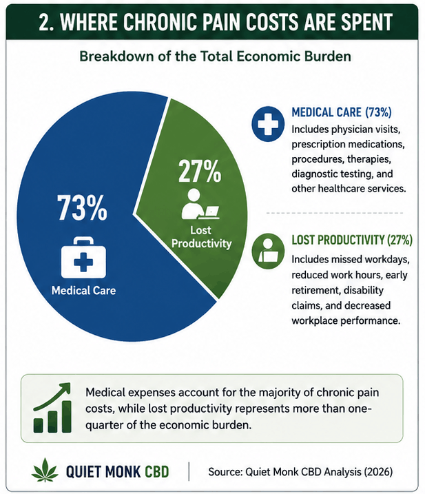 chronic pain cost breakdown showing medical care and lost productivity expenses