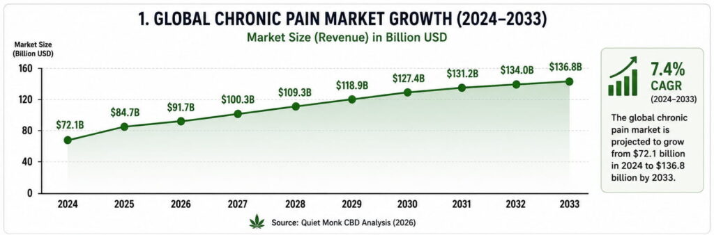 chronic pain market size growth chart 2024 to 2033 showing revenue forecast and market expansion
